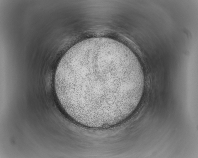 X0000110670018200907101116