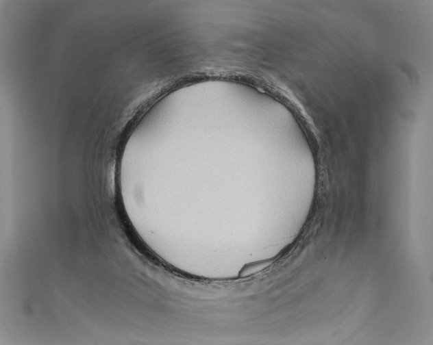 X0000110670019200907101116