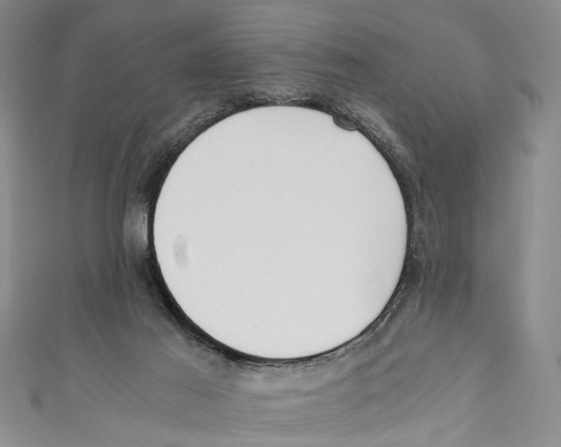 X0000110670021200907101116