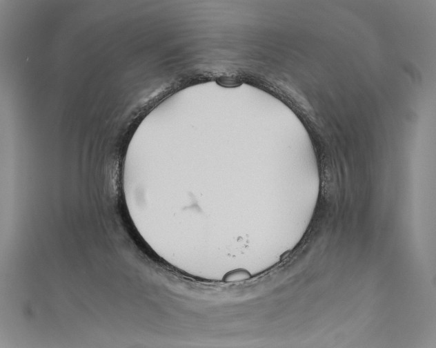 X0000110670023200907101116