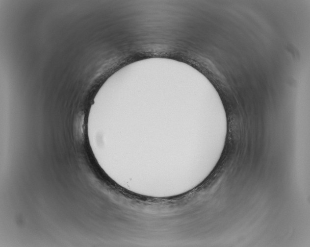 X0000110670024200907101116