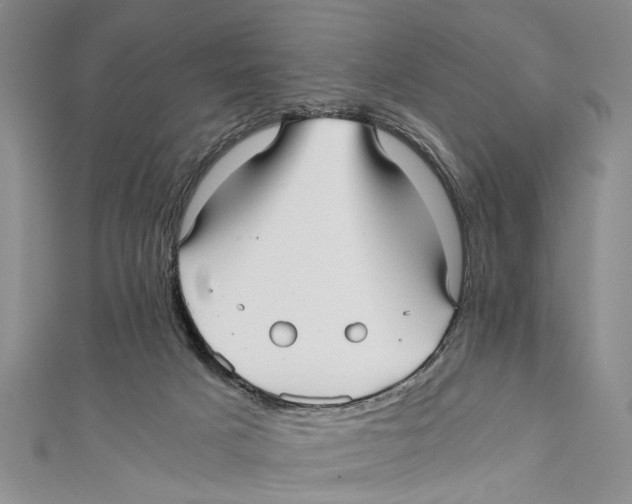 X0000110670025200907101116