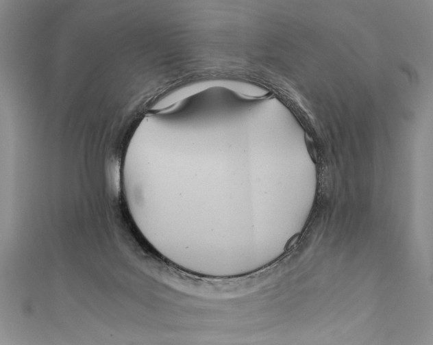 X0000110670027200907101116