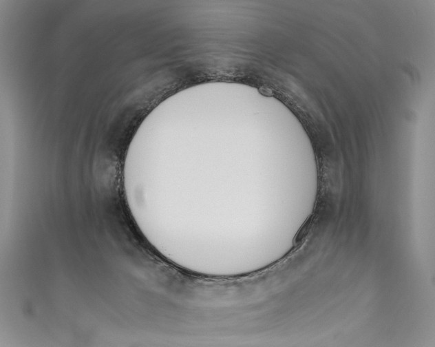 X0000110670029200907101116