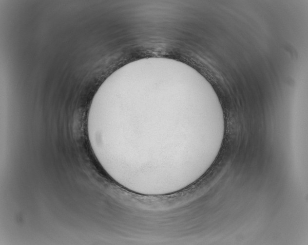X0000110670030200907101116