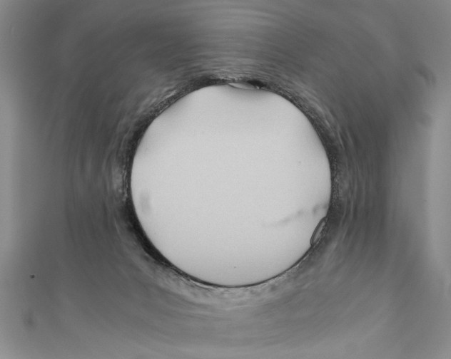 X0000110670031200907101116