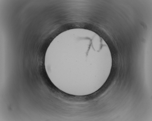 X0000110670032200907101116