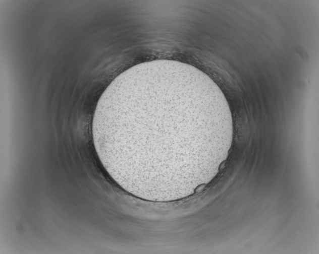 X0000110670034200907101116