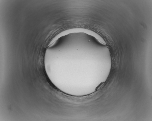 X0000110670035200907101116