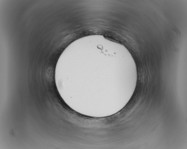X0000110670036200907101116