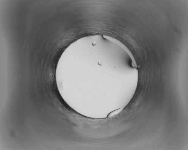 X0000110670039200907101116