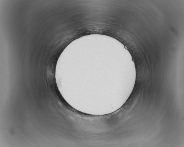 X0000110670040200907101116