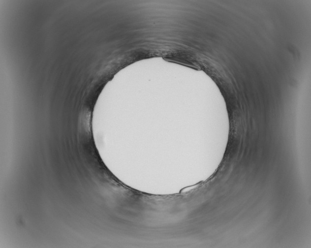 X0000110670041200907101116
