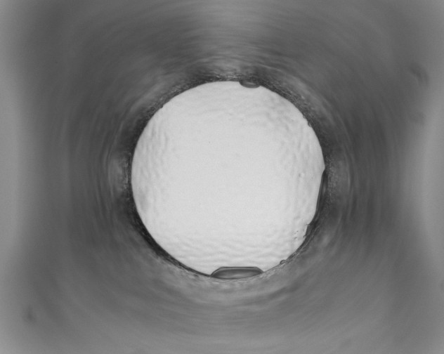 X0000110670043200907101115