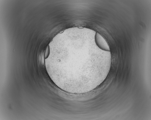 X0000110670046200907101115