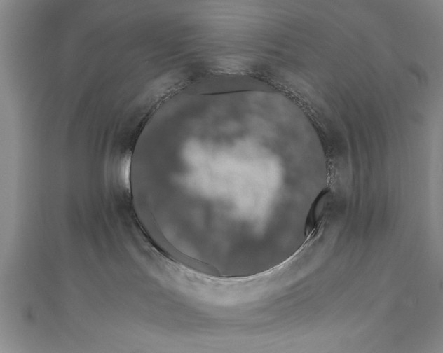 X0000110670047200907101115