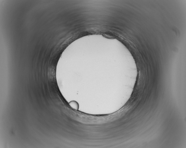 X0000110670048200907101115