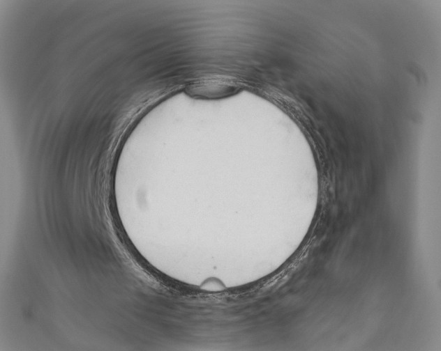 X0000110670049200907101115