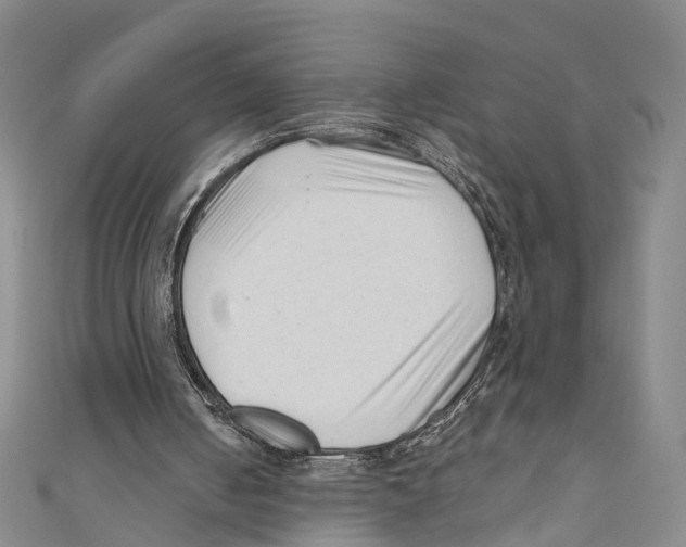 X0000110670050200907101115