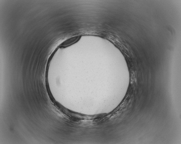 X0000110670052200907101115