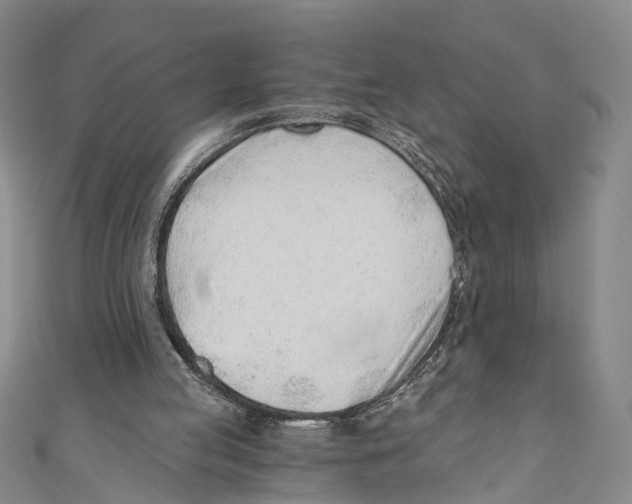 X0000110670053200907101115