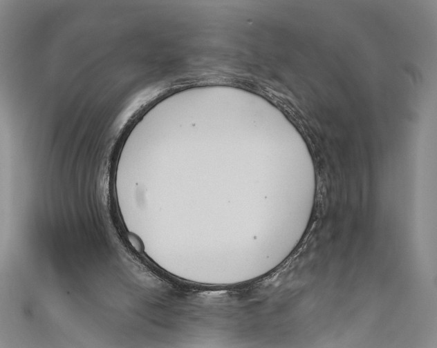 X0000110670054200907101115