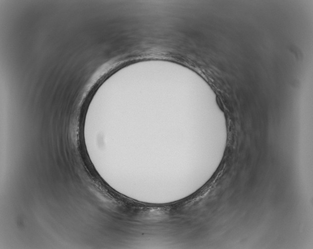 X0000110670056200907101115