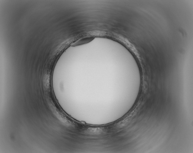 X0000110670057200907101115