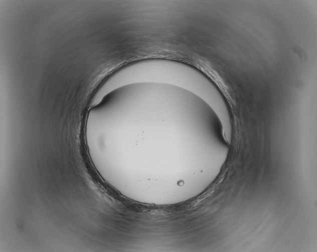X0000110670058200907101115