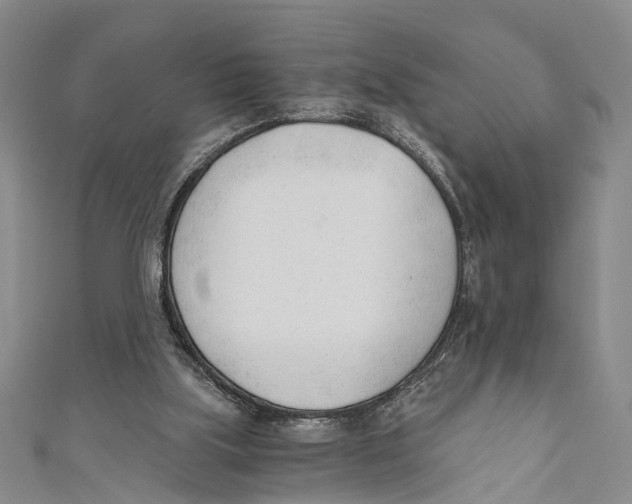 X0000110670059200907101115