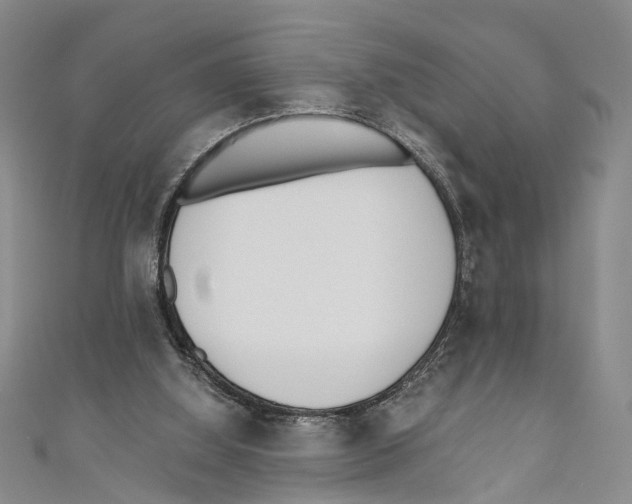 X0000110670060200907101115