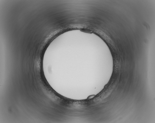 X0000110670064200907101115