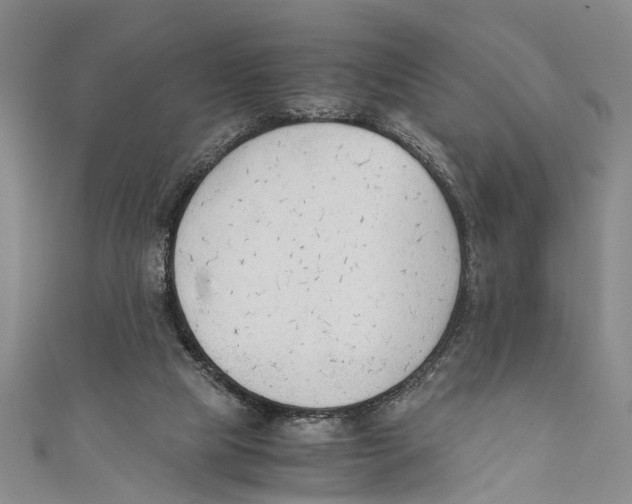 X0000110670065200907101115