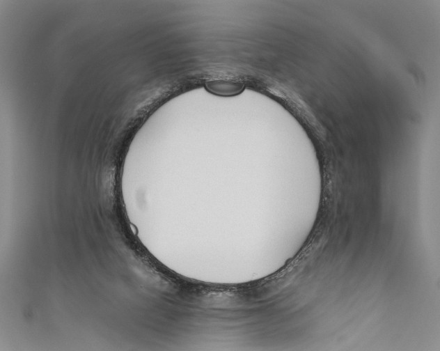 X0000110670066200907101115