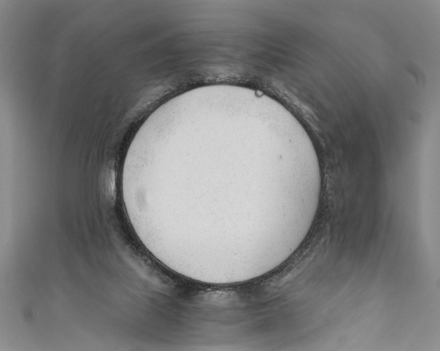 X0000110670067200907101115