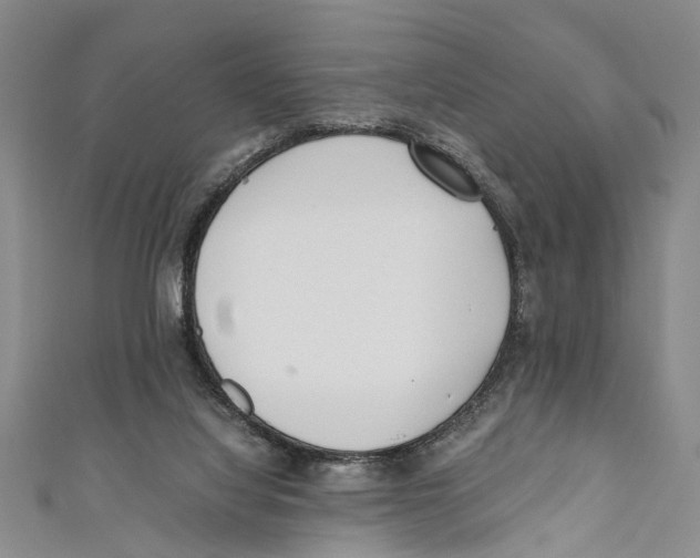 X0000110670068200907101115