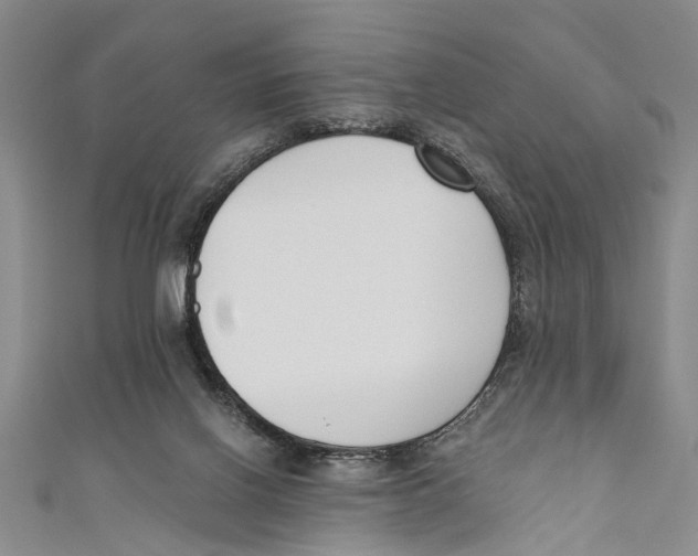X0000110670070200907101115