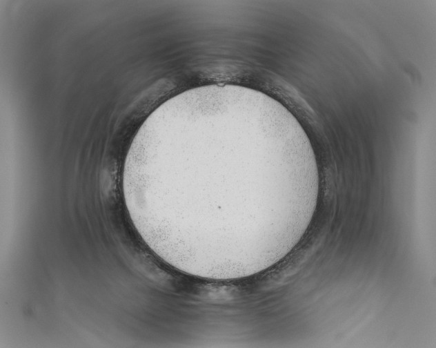 X0000110670073200907101115