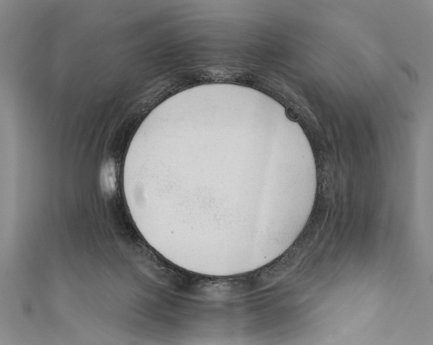 X0000110670075200907101115