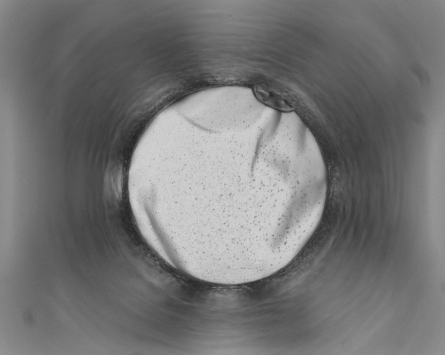 X0000110670076200907101115