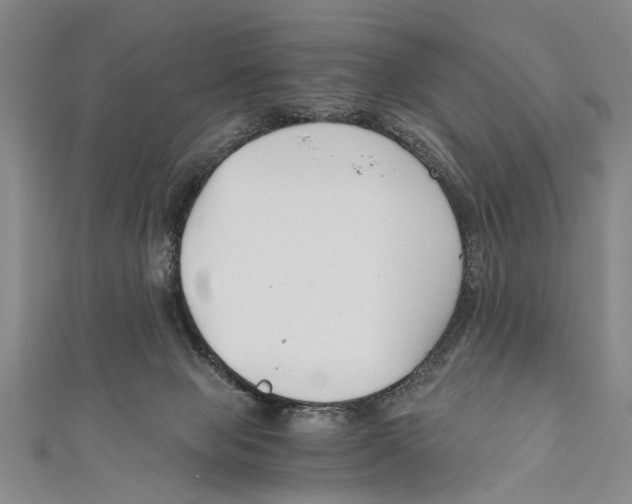 X0000110670077200907101115