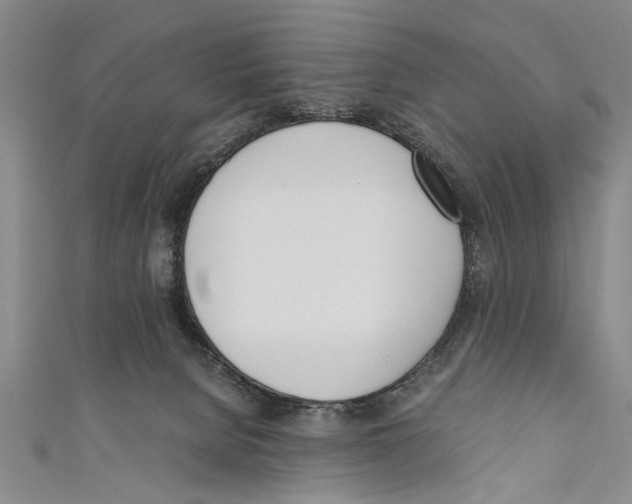 X0000110670080200907101115