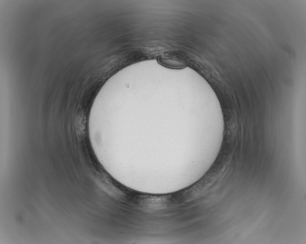 X0000110670081200907101115
