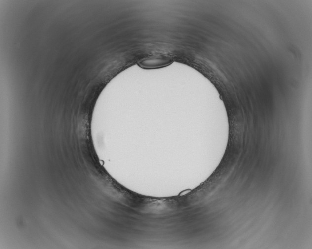 X0000110670083200907101115