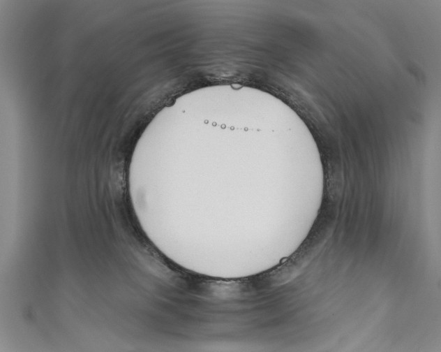 X0000110670085200907101115