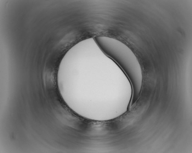 X0000110670088200907101115