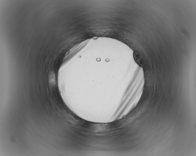X0000110670089200907101115