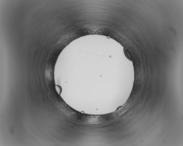 X0000110670090200907101115