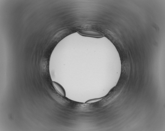 X0000110670092200907101115