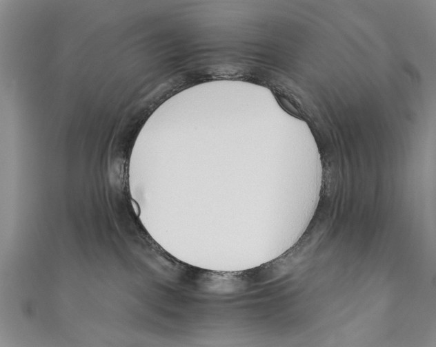 X0000110670093200907101115